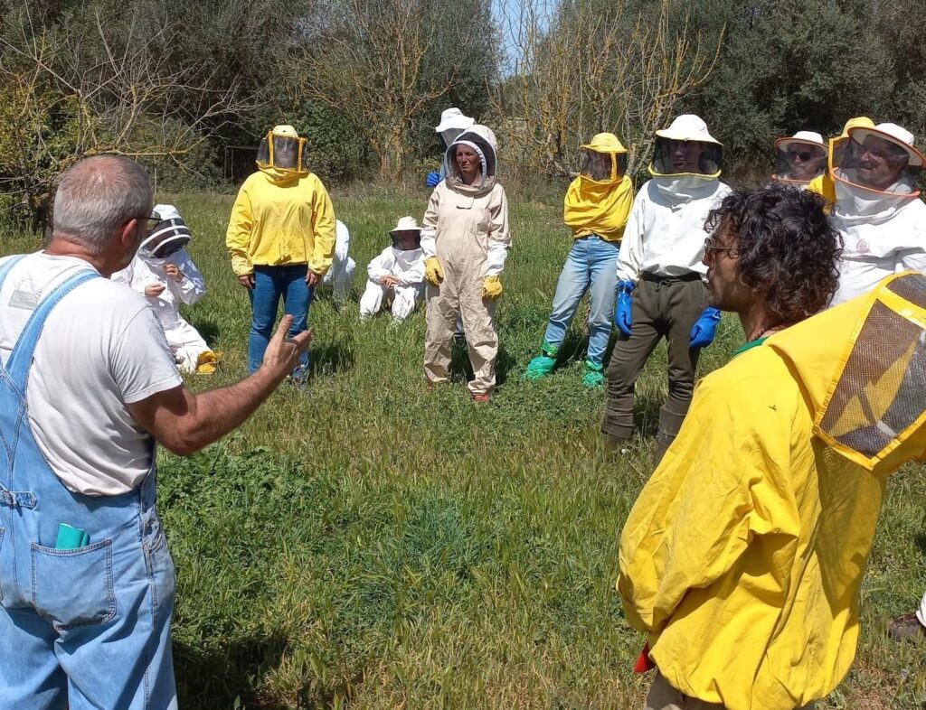APAEMA: más de 100 alumnos en cursos de quesos ecológicos y manejo de colmenas