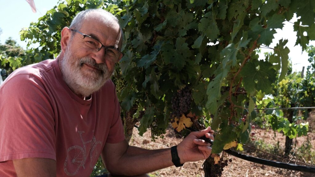 Miquel Jaume, Can Coleto: "Que el vino de Mallorca sea sinónimo de ecológico"