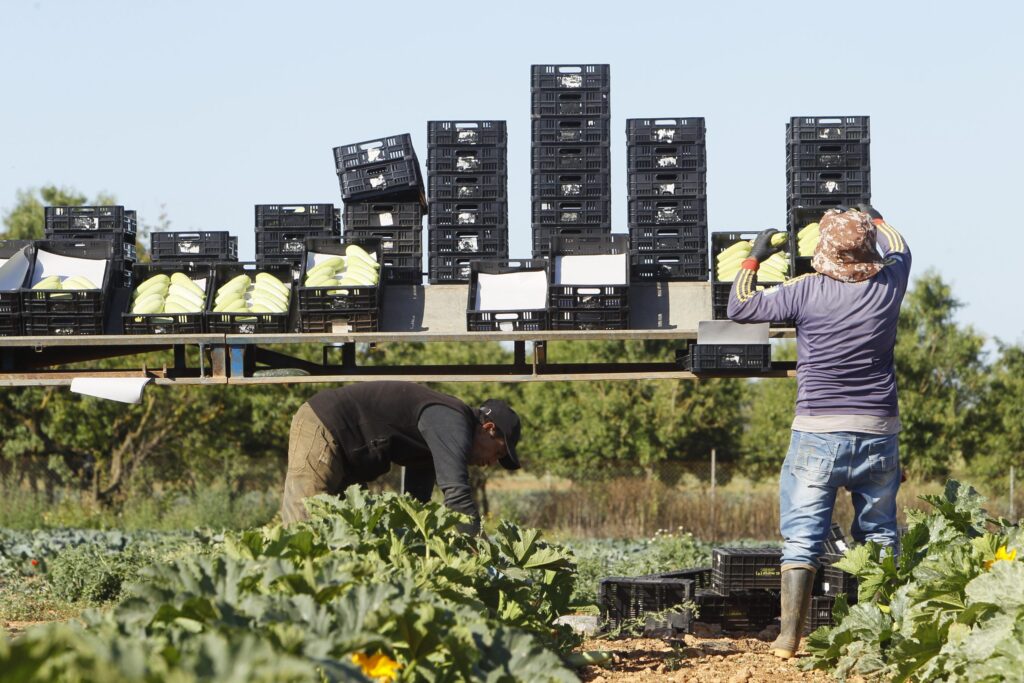 Mallorca Rural organiza los premios Rural'GO para impulsar empresas en el ámbito rural