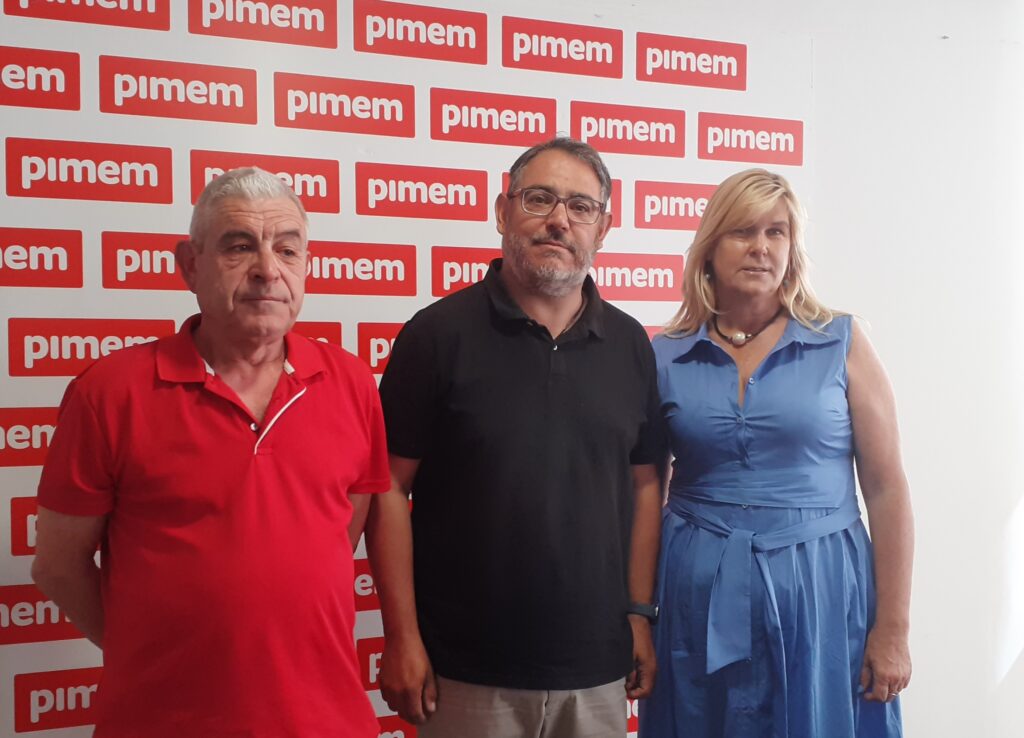 Los guías turísticos de PIMEM piden que no se restrinja la llegada de cruceros