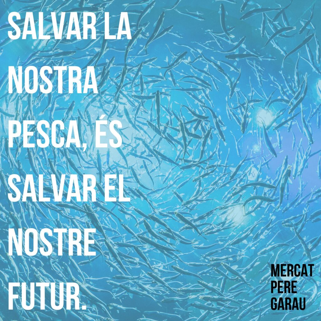 El mercat de Pere Garau, preocupado por la normativa europea sobre venta de pescado fresco