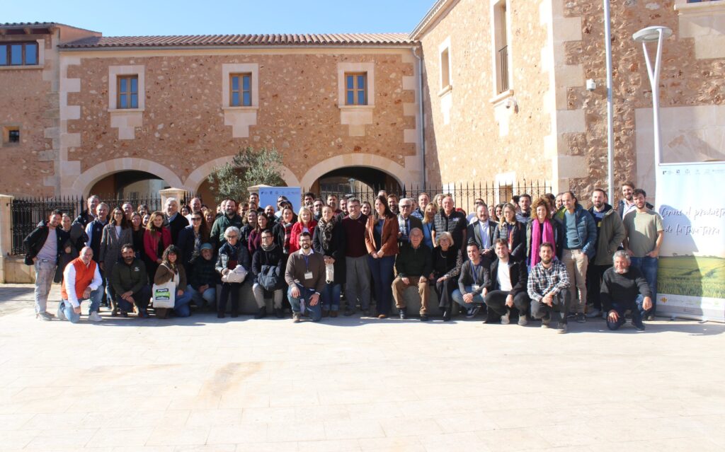 origen ene25 Mallorca Rural scaled 1