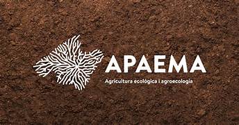 original APAEMA