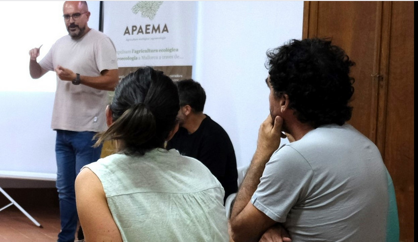 original APAEMA